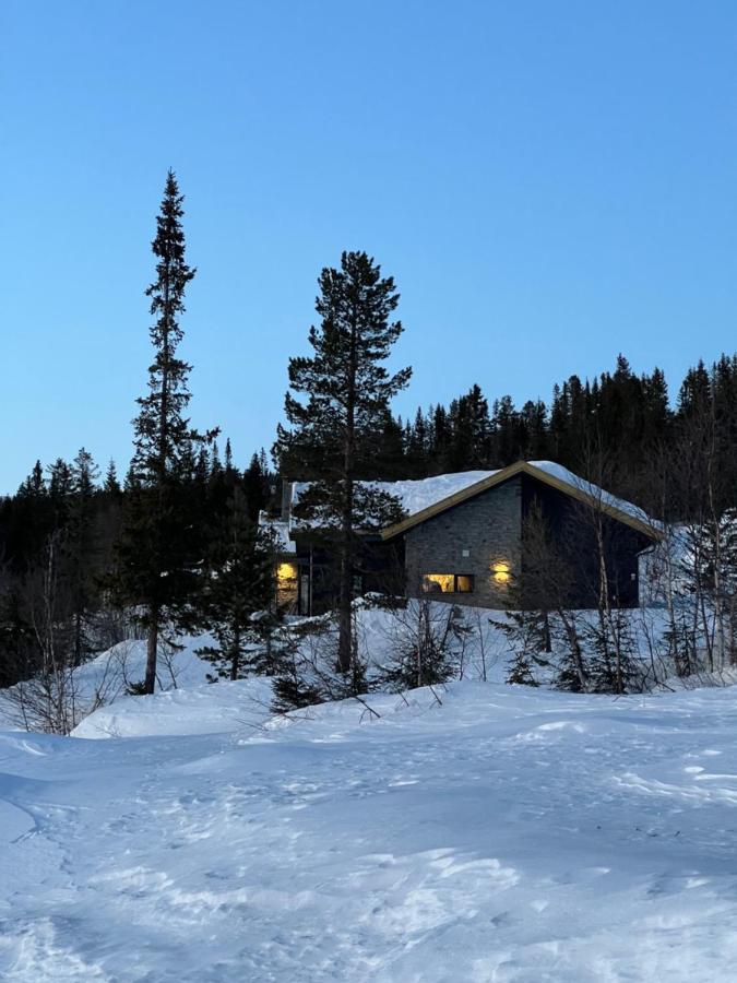 Brand New Cabin On The Sunny Side Of Gaustatoppen With A Great View Tuddal Exteriér fotografie