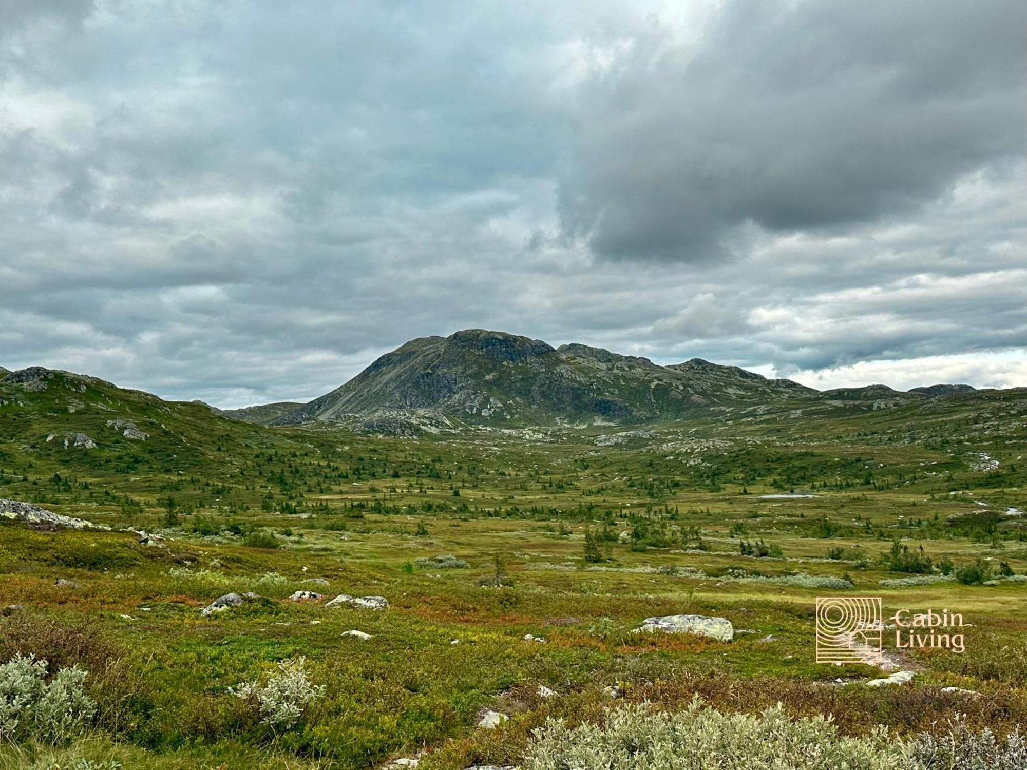 Brand New Cabin On The Sunny Side Of Gaustatoppen With A Great View Tuddal Exteriér fotografie