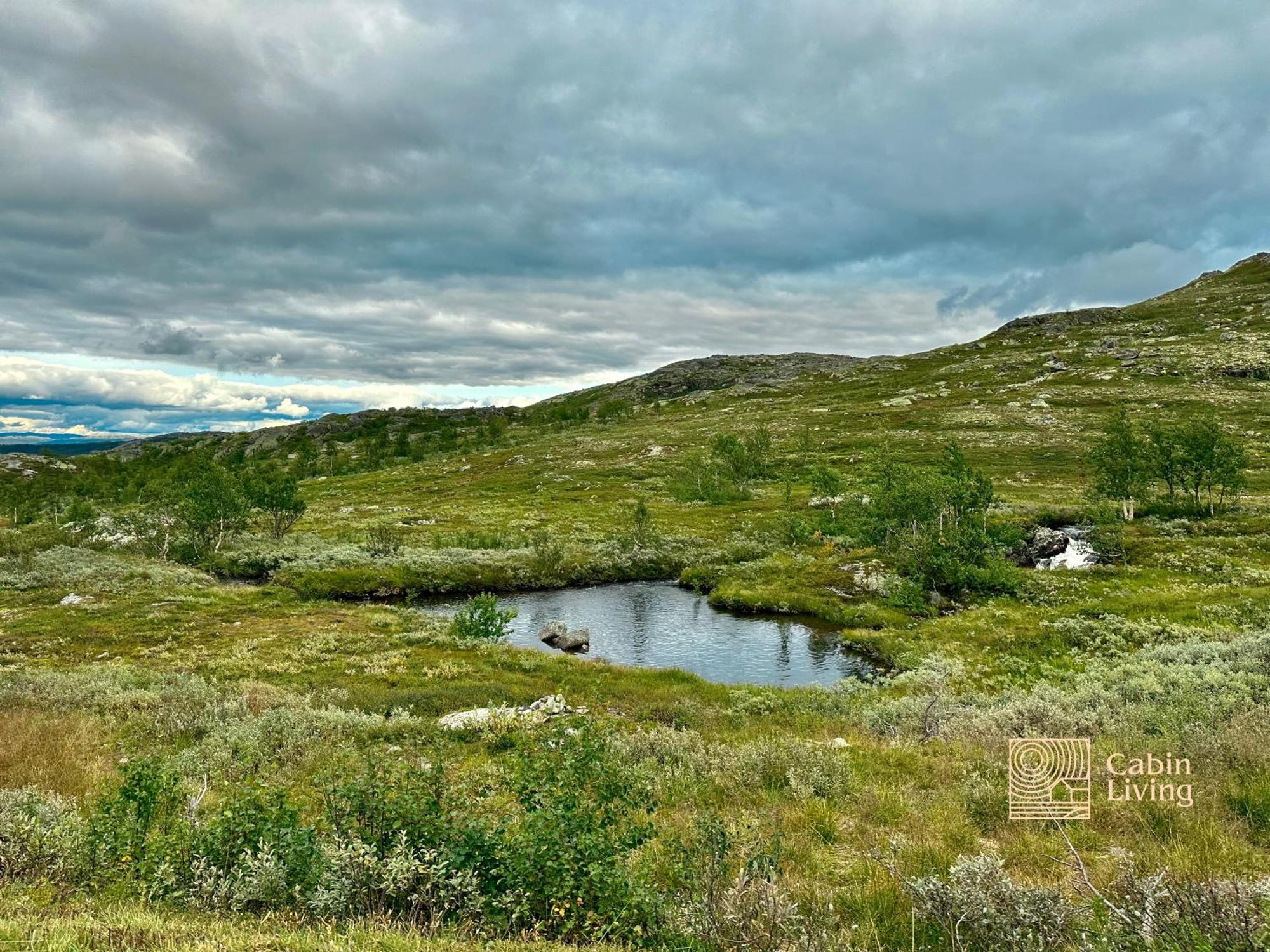 Brand New Cabin On The Sunny Side Of Gaustatoppen With A Great View Tuddal Exteriér fotografie